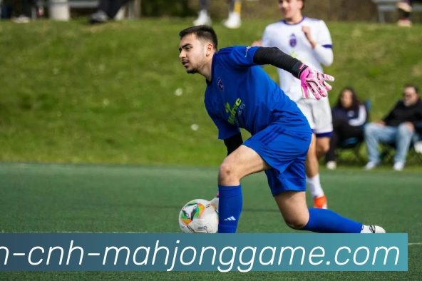 麻将胡了平台生态图